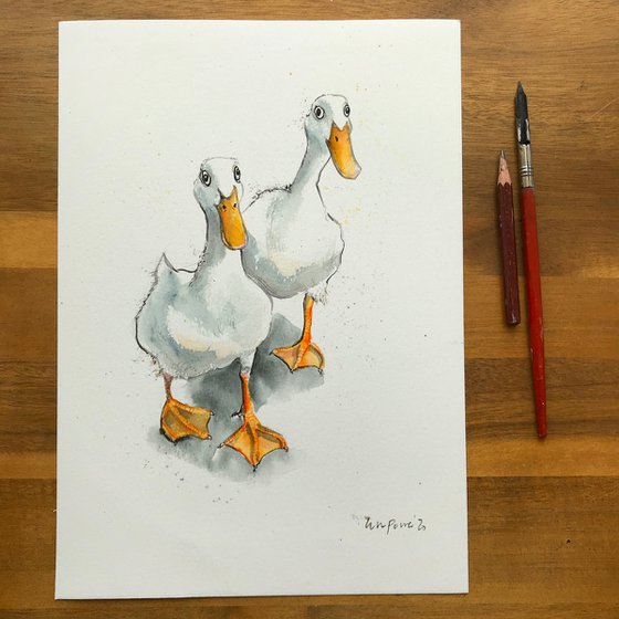 Two White Ducks