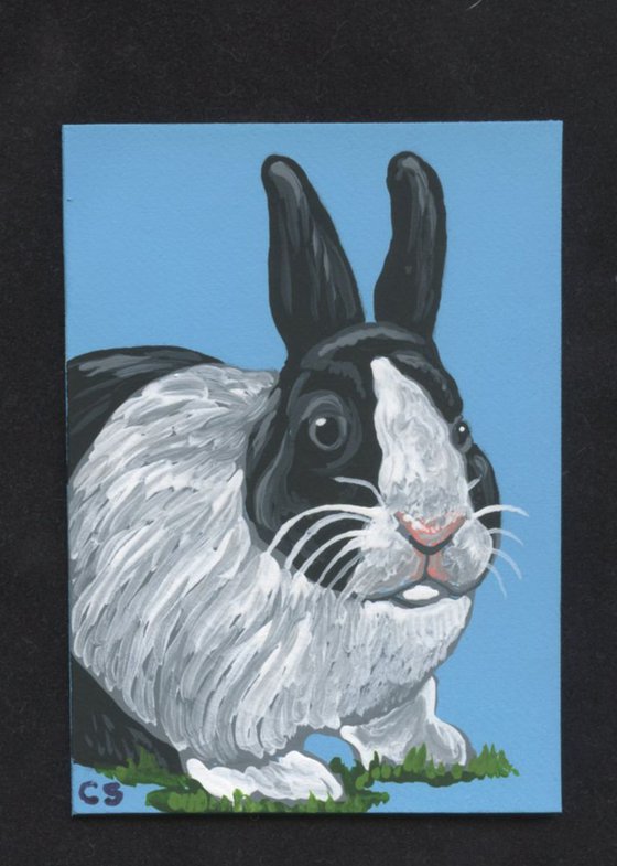 ACEO ATC Original Painting Black White Bunny Rabbit Pet Art-Carla Smale