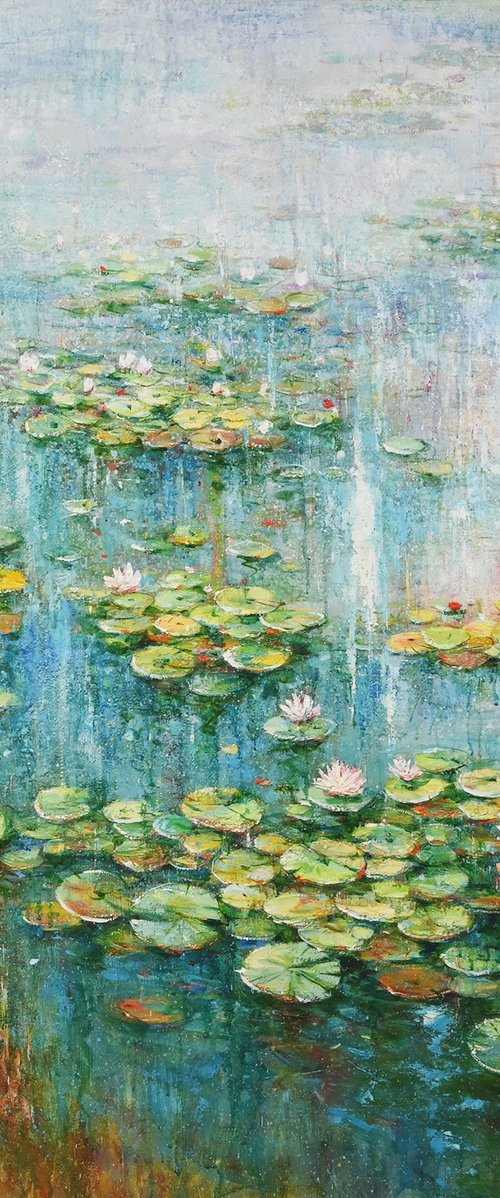 Lotus Pond by M.Lee