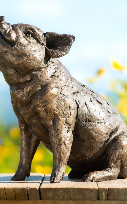 Sitting Piglet BR by Tanya Russell
