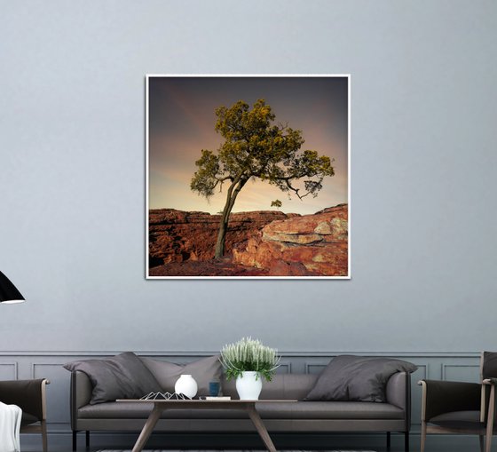 Rustic Canyon