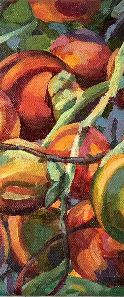 «Tropical bloom". decorative peach of palms- by MOMALYU