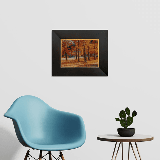 A Symphony of Autumn Aspens