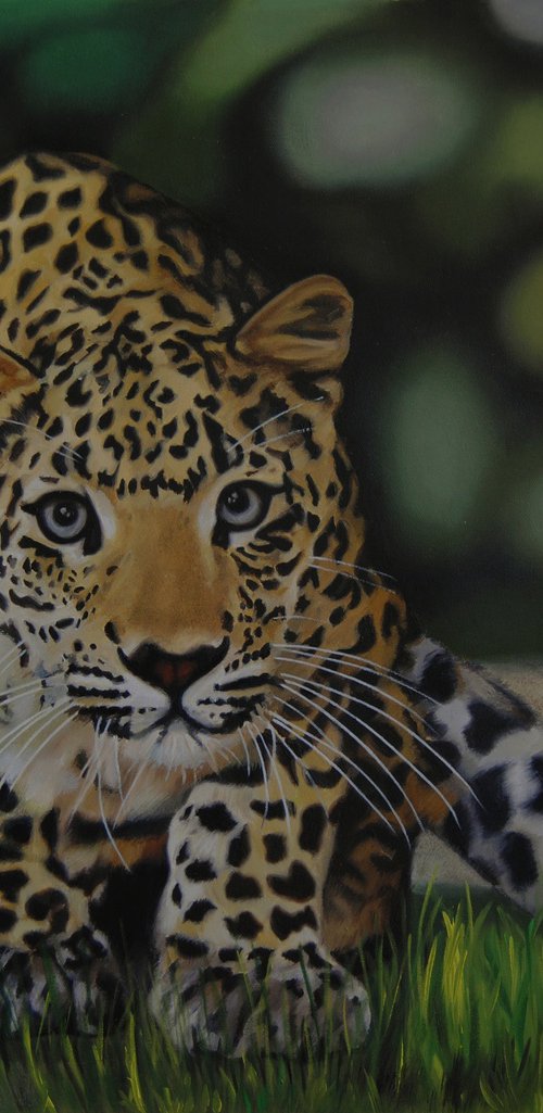 Leopard by Simona Tsvetkova