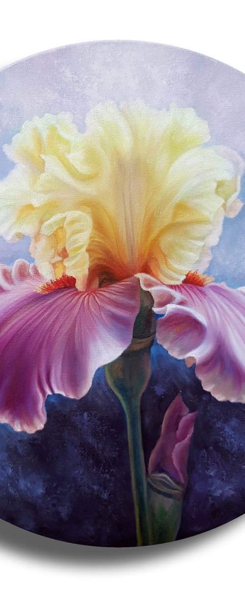 "Iris" by Anna Steshenko