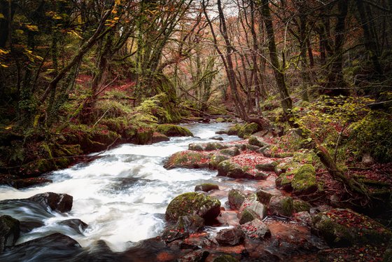 Golitha Falls