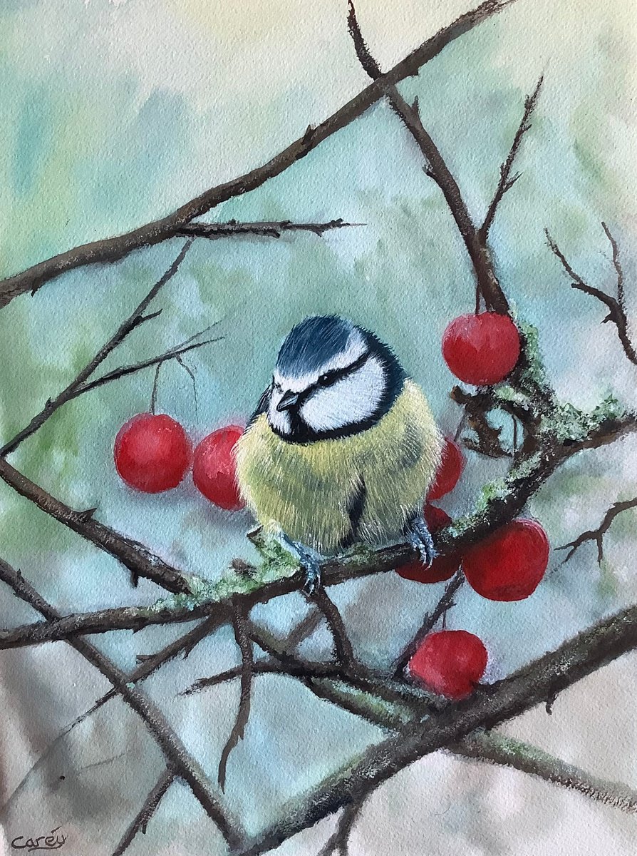 Photorealistic Animal Watercolour By Darren Carey, 11 X 15, Eurasian Blue Tit, Original Artwork