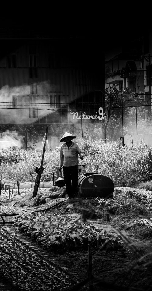 Farming Between Skyscrapers by Serge Horta