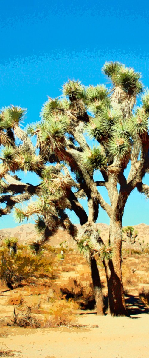 PAINT THE SKY Joshua Tree National Park CA by William Dey