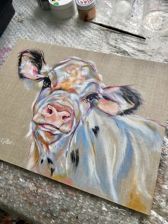 Kohl - Black & White Calf Cow original oil painting on linen on board