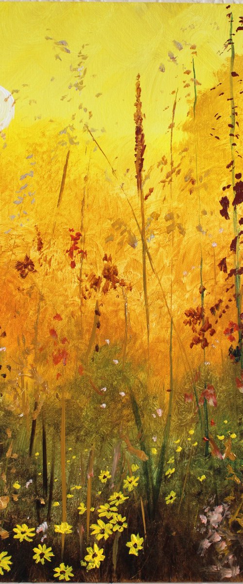 Warm Sunrise by Rod Bere