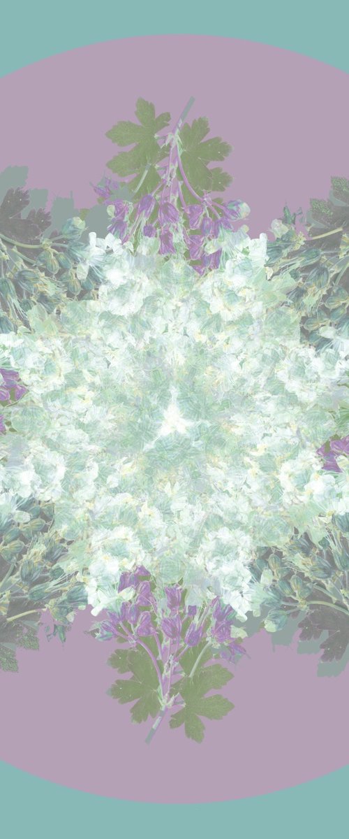 Botanical Mandala #6 by Louise O'Gorman