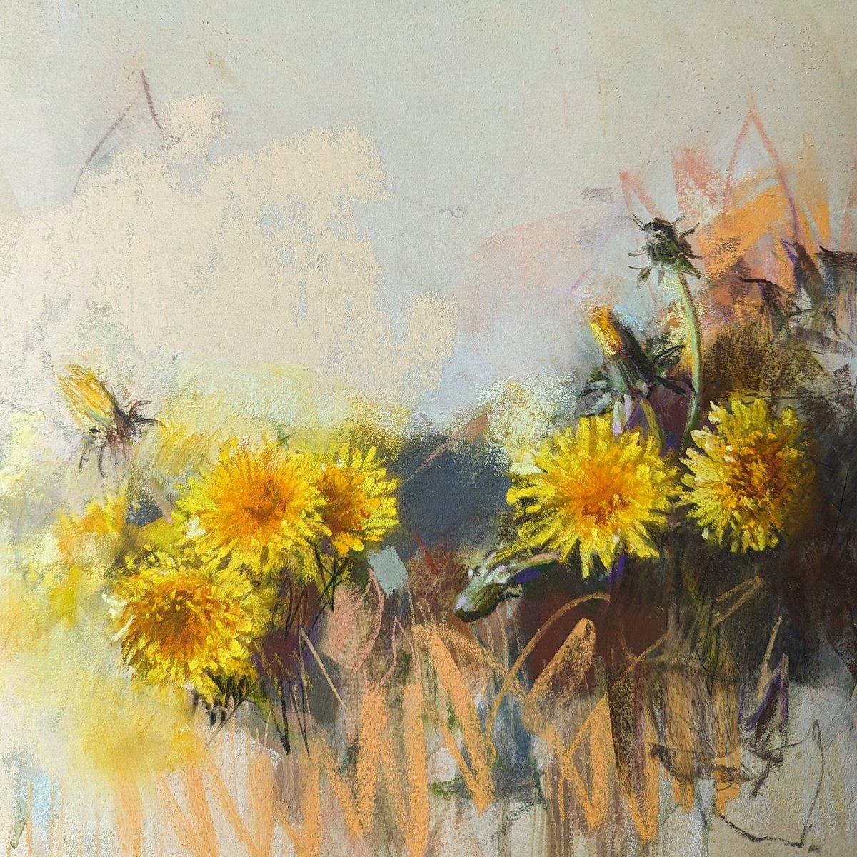 Botanical Pastel Drawing By Silja Salmistu, 11 X 11", Dandelions 5`24, Original Artwork