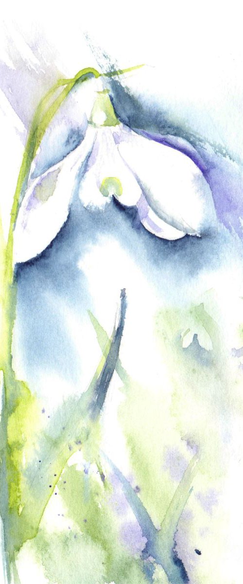 Snowdrop by Anjana Cawdell