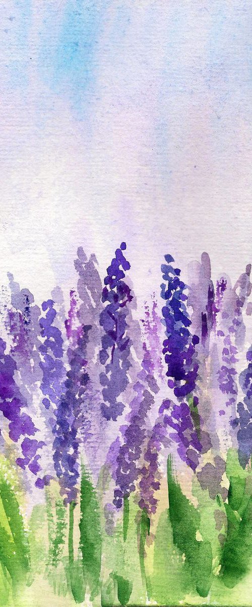 French Lavenders by Asha Shenoy