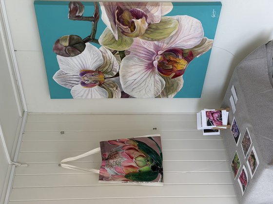 Electric Orchid