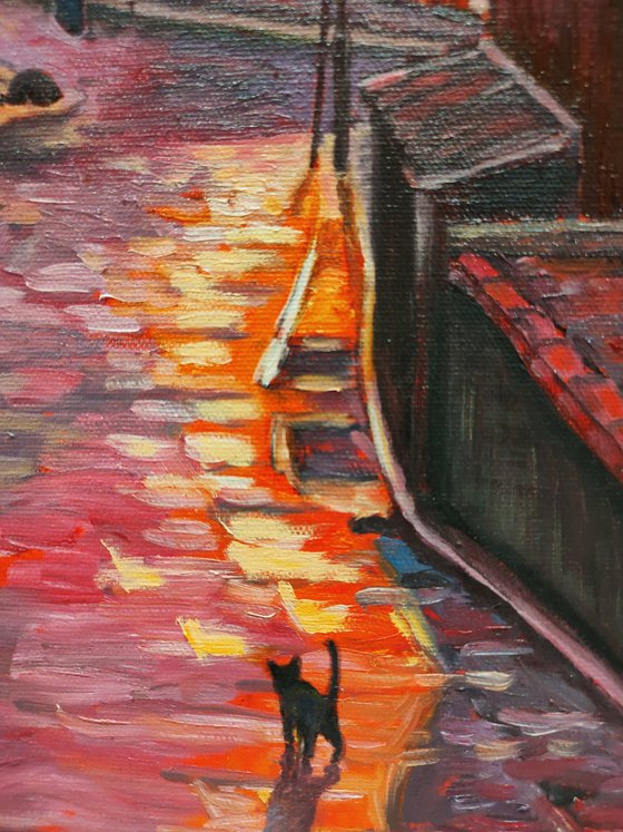 When the shadows are still warm (Kyoto)