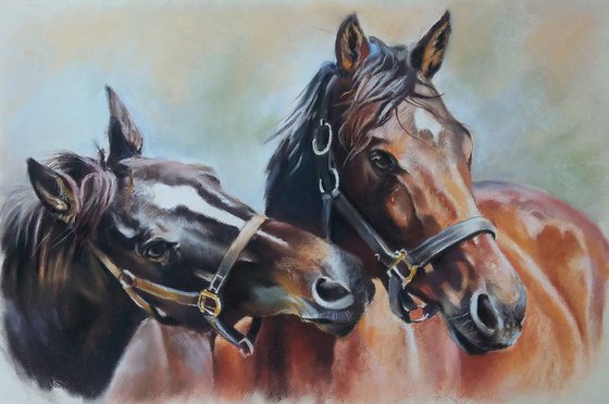 Portrait of horses