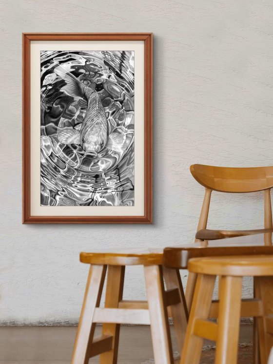 Koi Carp Pencil Drawing III
