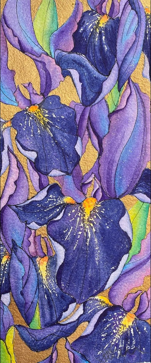 Into Paradise III- Iris Dream by Jill Griffin