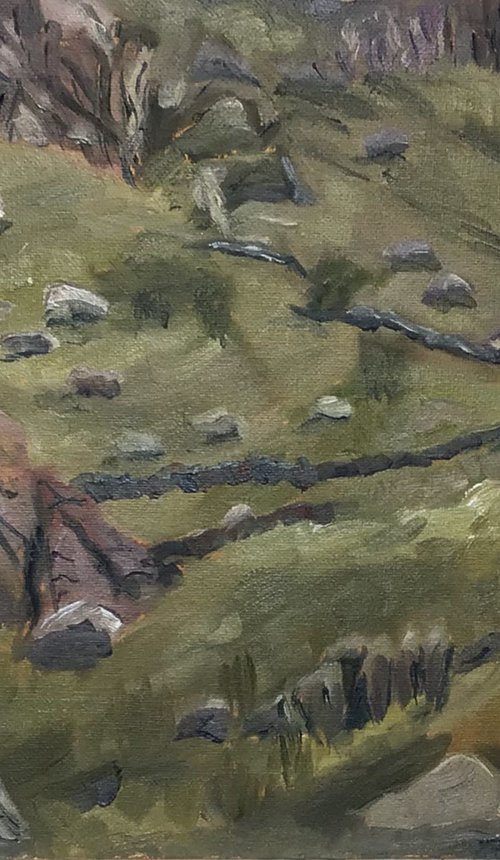 Lonely cottage, Llanberis, Snowdonia, oil painting by Julian Lovegrove Art