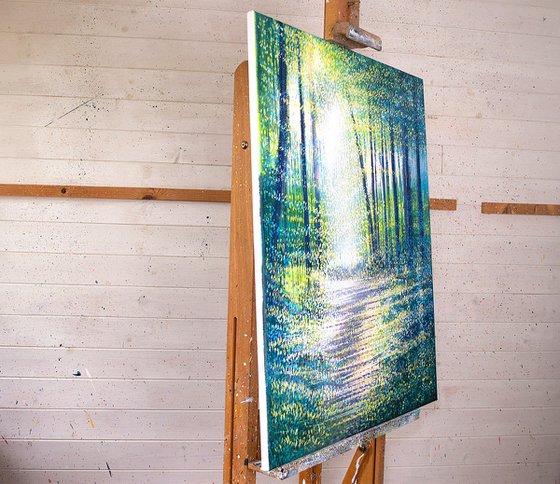 Spring Forest Trees