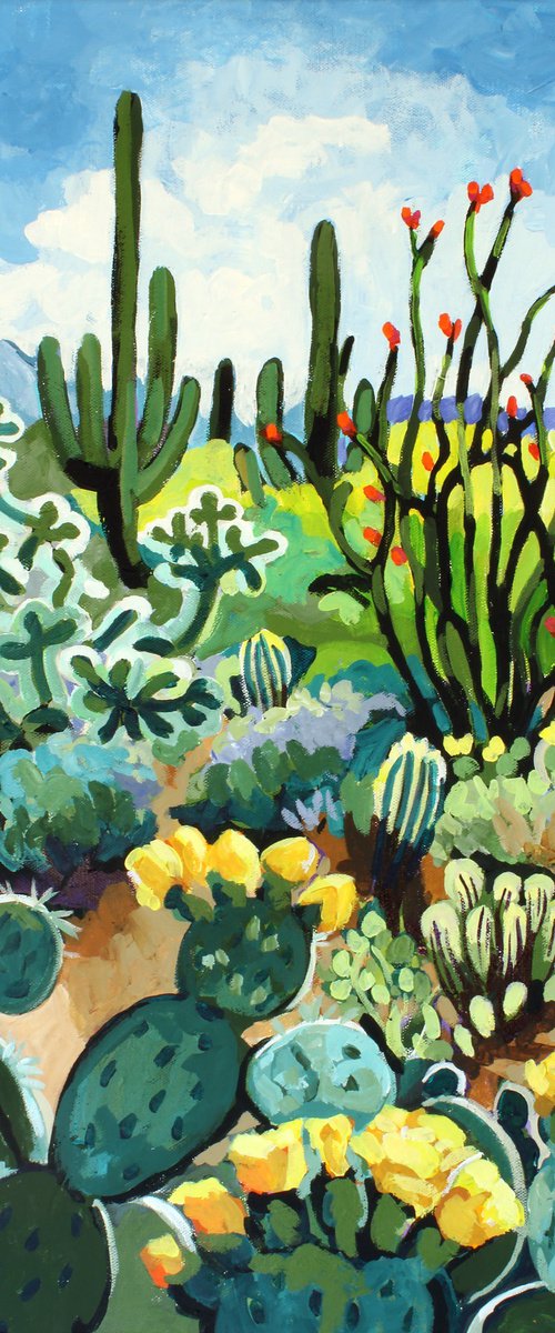 Desert Roses by Melinda Patrick