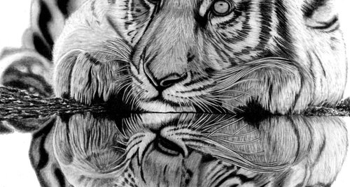 Artwork by Paul Stowe