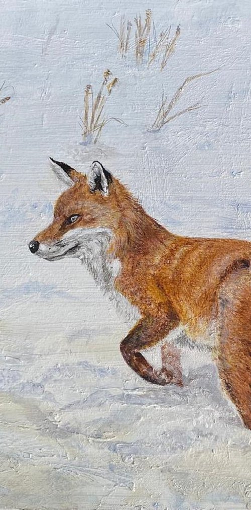 Winter Fox by Laurence Wheeler