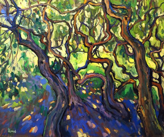 Where Light Wanders