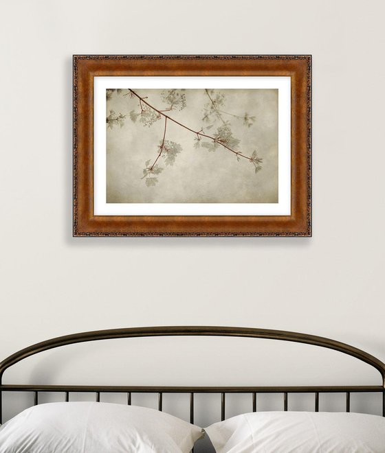 Maple Leaves, 24 x 16"