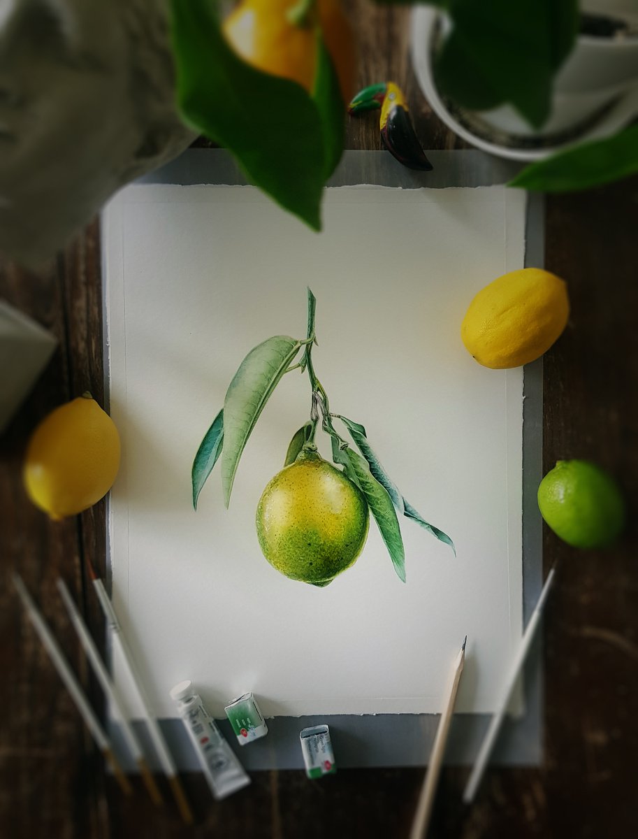 Lemon by Dovydas Bou