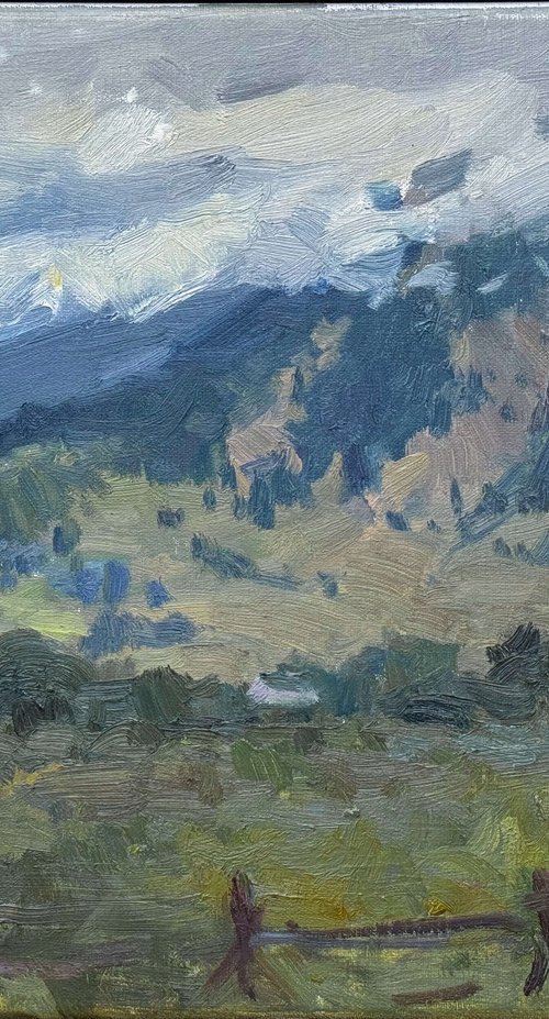 Rainy Morning on Springhill Road by Nataliia Nosyk