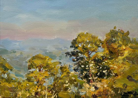 When Golden Light Touches the Treetops