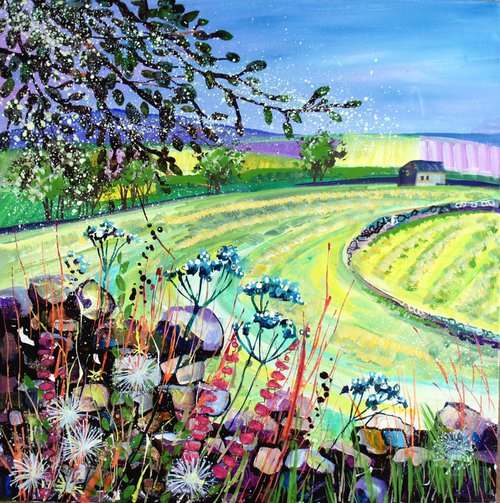 Hay Meadow, Swaledale, Yorkshire Dales by Julia  Rigby