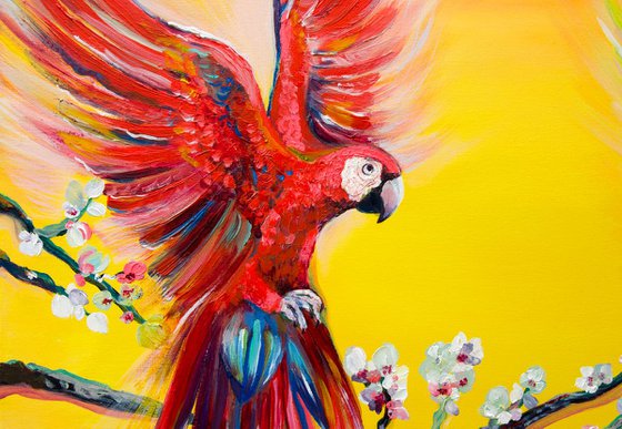 Australian parrots - original oil painting