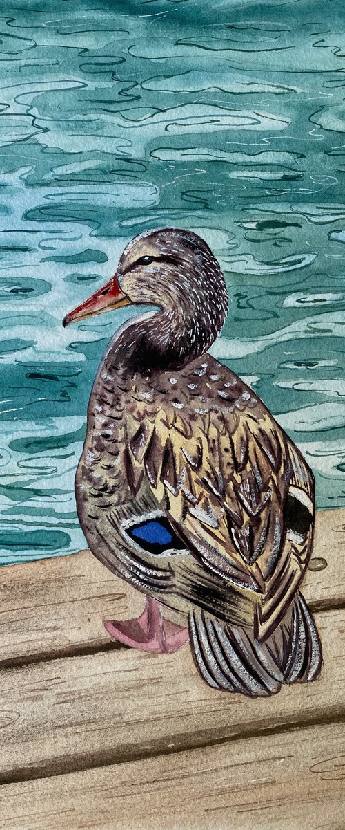 Watercolor duck near the water by Tina Shyfruk