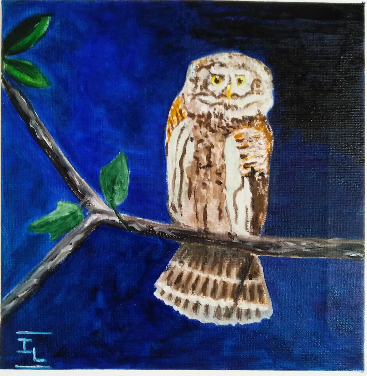 The little owl 2 by Isabelle Lucas