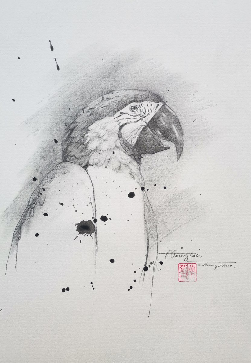 Drawing- Parrot #20106 by Hongtao Huang