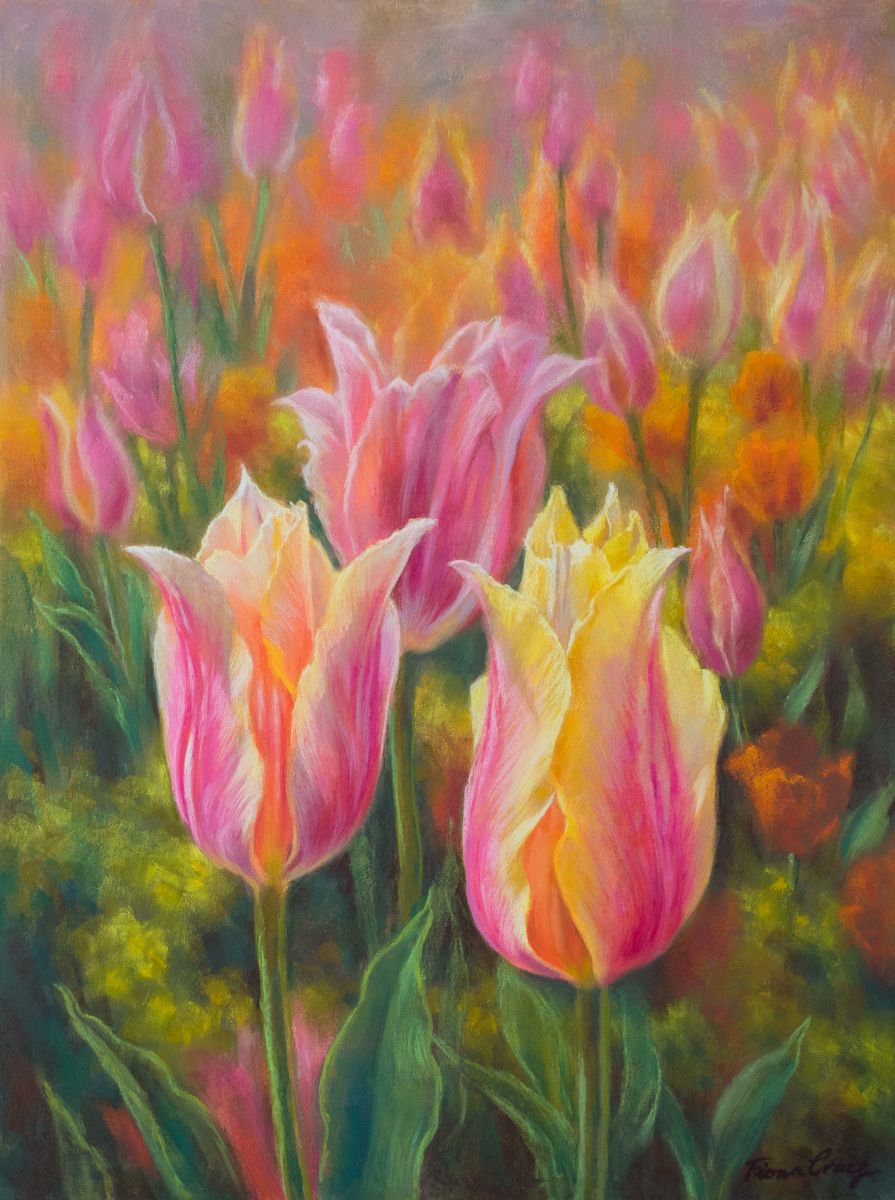Tulipomania 6: Blushing Beauties by Fiona Craig
