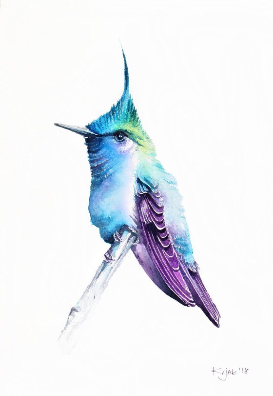 Hummingbird Green-crowned plovercrest,  birds, wildlife watercolours