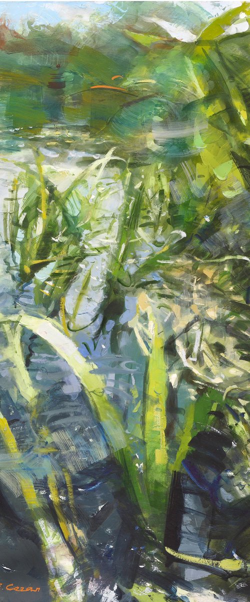 River grass2 by Eugene Segal