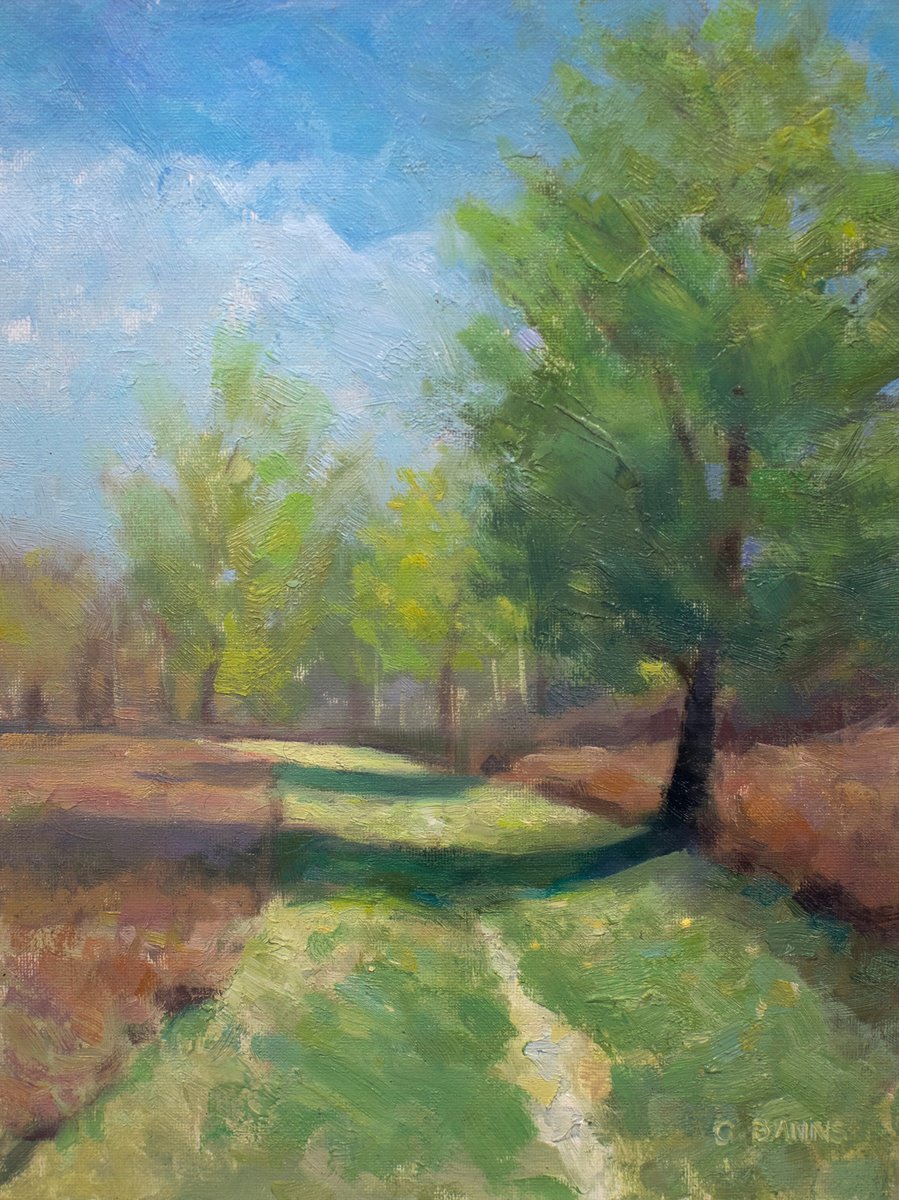 Impressionistic Landscape Oil Painting By Gav Banns, 7 X 9, Grassy Path Into Woodlands, Original Artwork