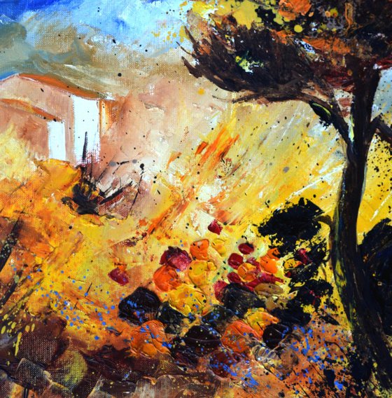 Summer in Provence  - 5623