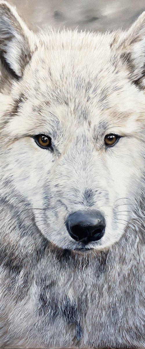 Arctic Wolf by Martyna Maik