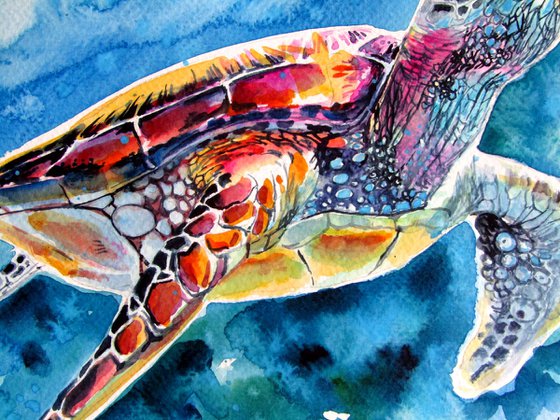 Turtle