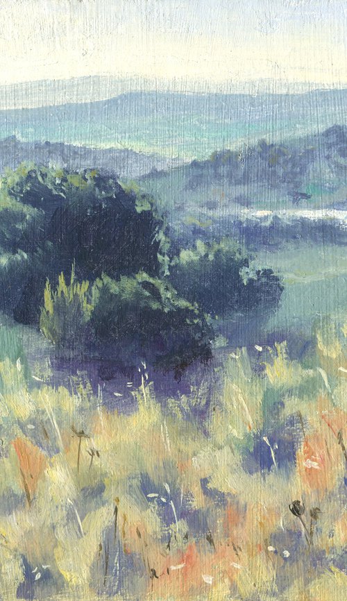 'Lakes of the valley' by Lucia Verdejo