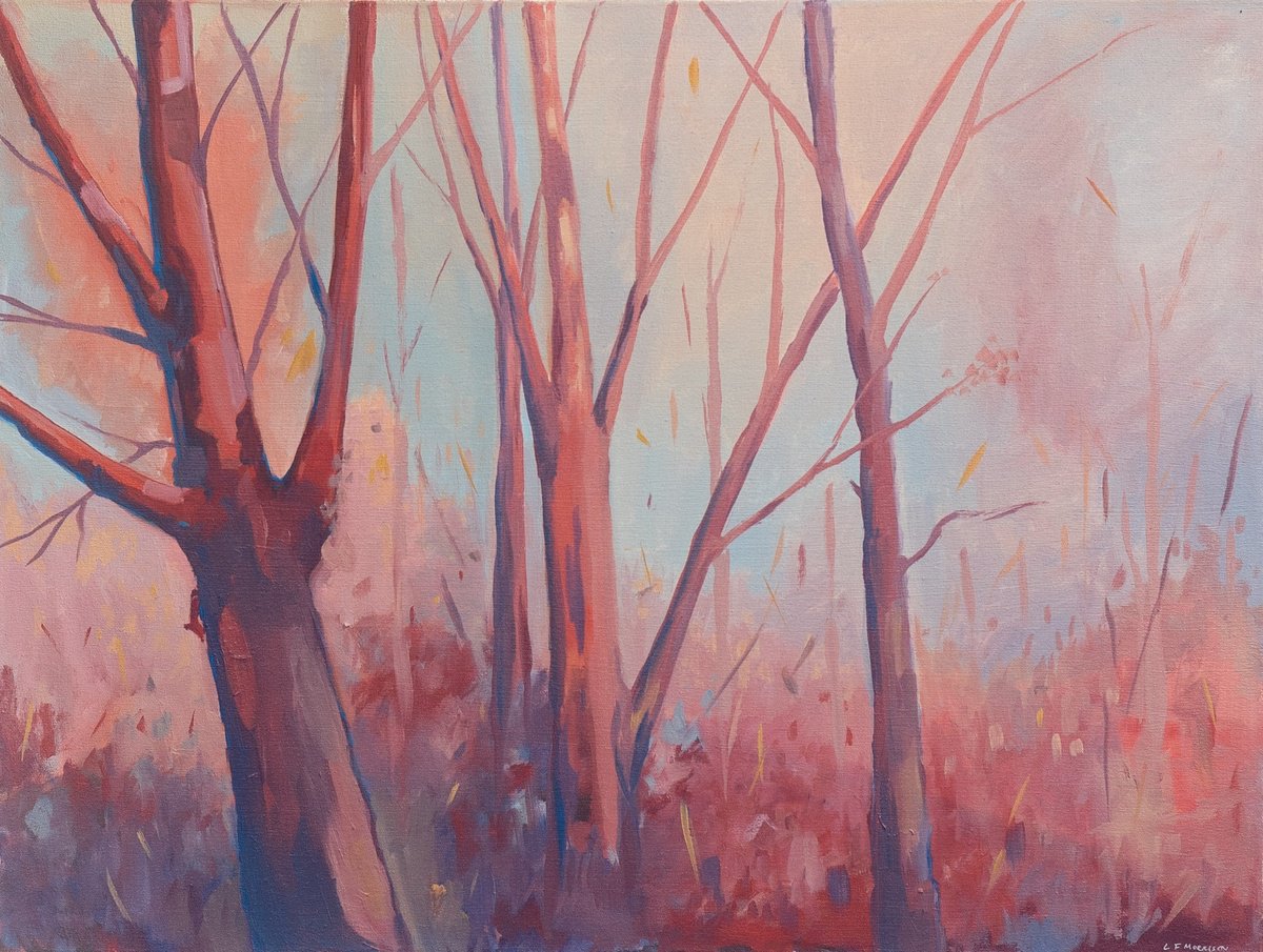 Expressive Landscape Oil Painting By Lucy Fiona Morrison, 33 X 26", Trees In Contrast, Original Artwork