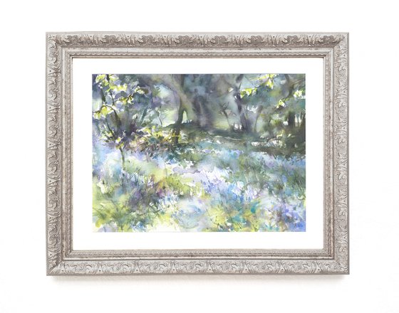 "Bluebells of Sidmouth woods -2"