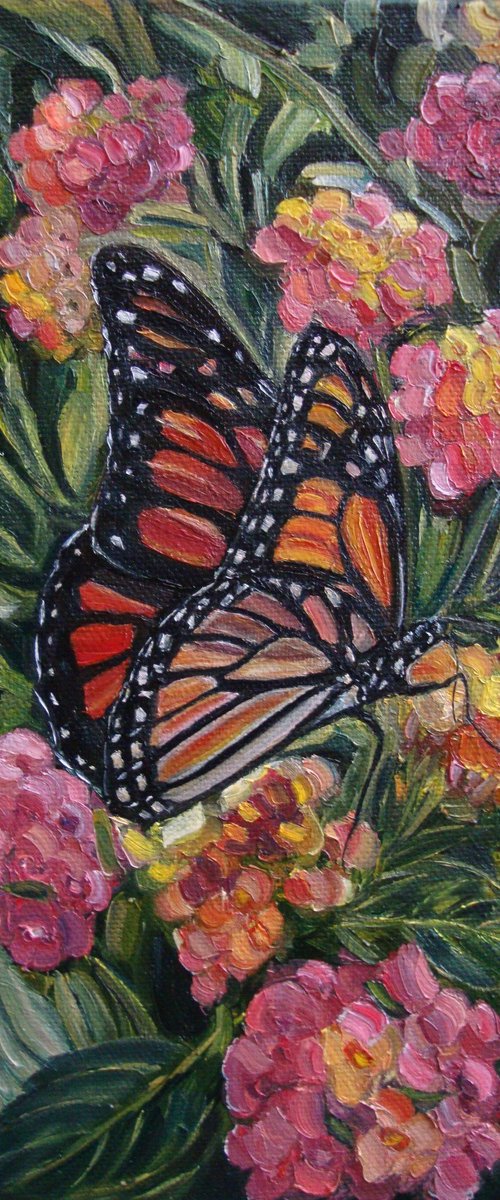 Touch of nature by Olga Knezevic